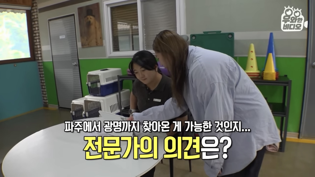 목숨을-걸고-한-달-만에-집으로-돌아온-강아지..jpg-70-이미지