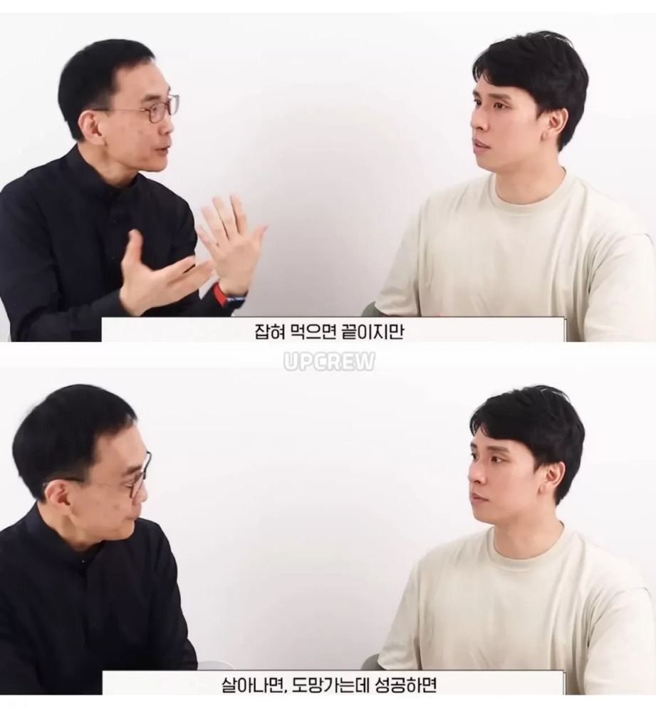 얼룩말이-위궤양에-걸리지-않는-이유-3-이미지