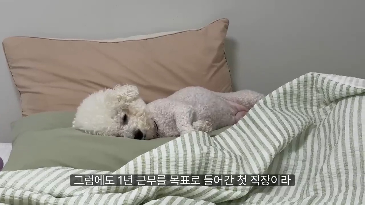당일퇴사-브이로그-25-이미지