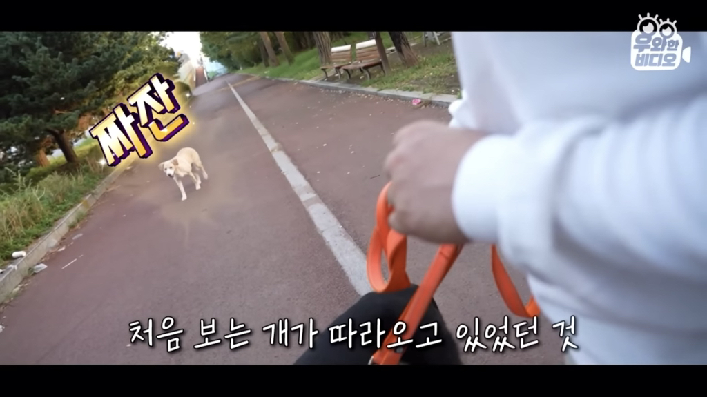 목숨을-걸고-한-달-만에-집으로-돌아온-강아지..jpg-5-이미지