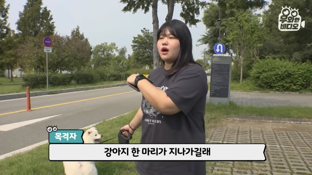 목숨을-걸고-한-달-만에-집으로-돌아온-강아지..jpg-57-이미지