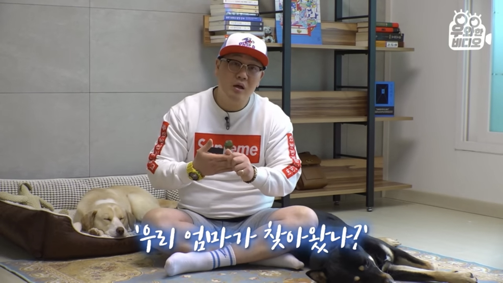목숨을-걸고-한-달-만에-집으로-돌아온-강아지..jpg-49-이미지
