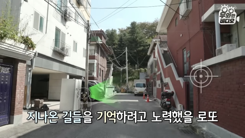 목숨을-걸고-한-달-만에-집으로-돌아온-강아지..jpg-82-이미지