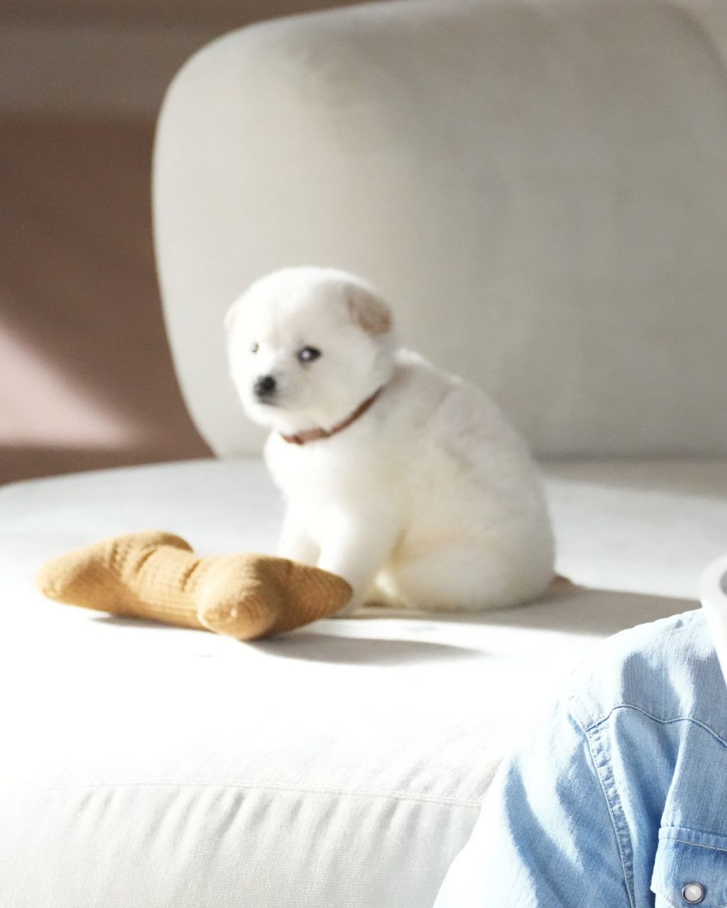 뭔진-몰라도-박보검이-개큰잘못을한듯-1-이미지