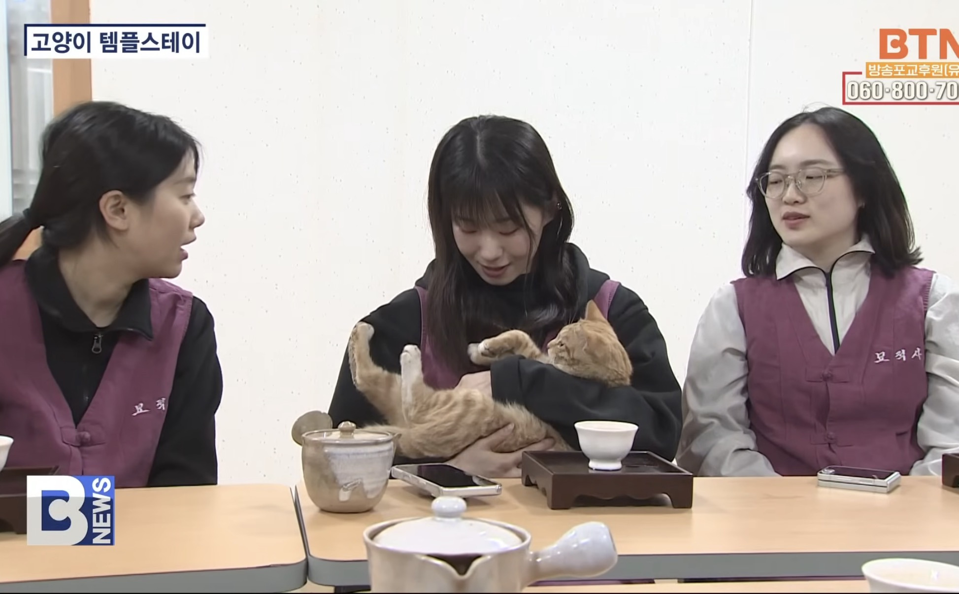 고양이-템플스테이-6-이미지