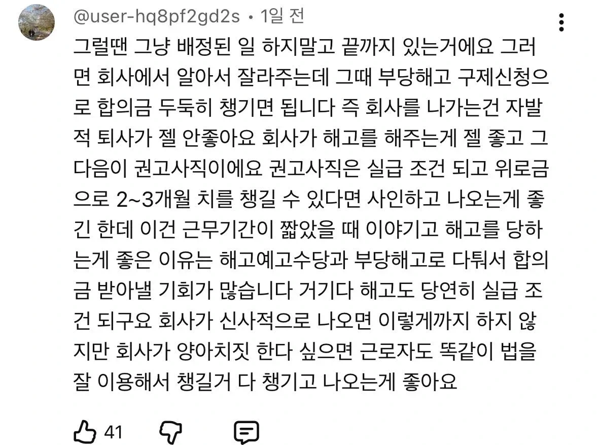 23만-유튜버,-당일-퇴사-브이로그-1-이미지
