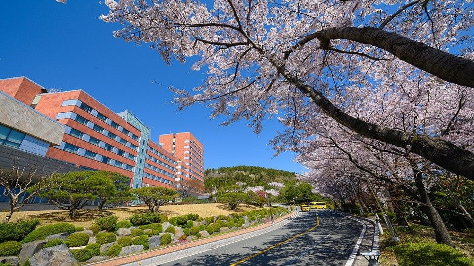 외국선주-및-관계자를-위해-조선소-인근부지에-지은-호텔들-10-이미지