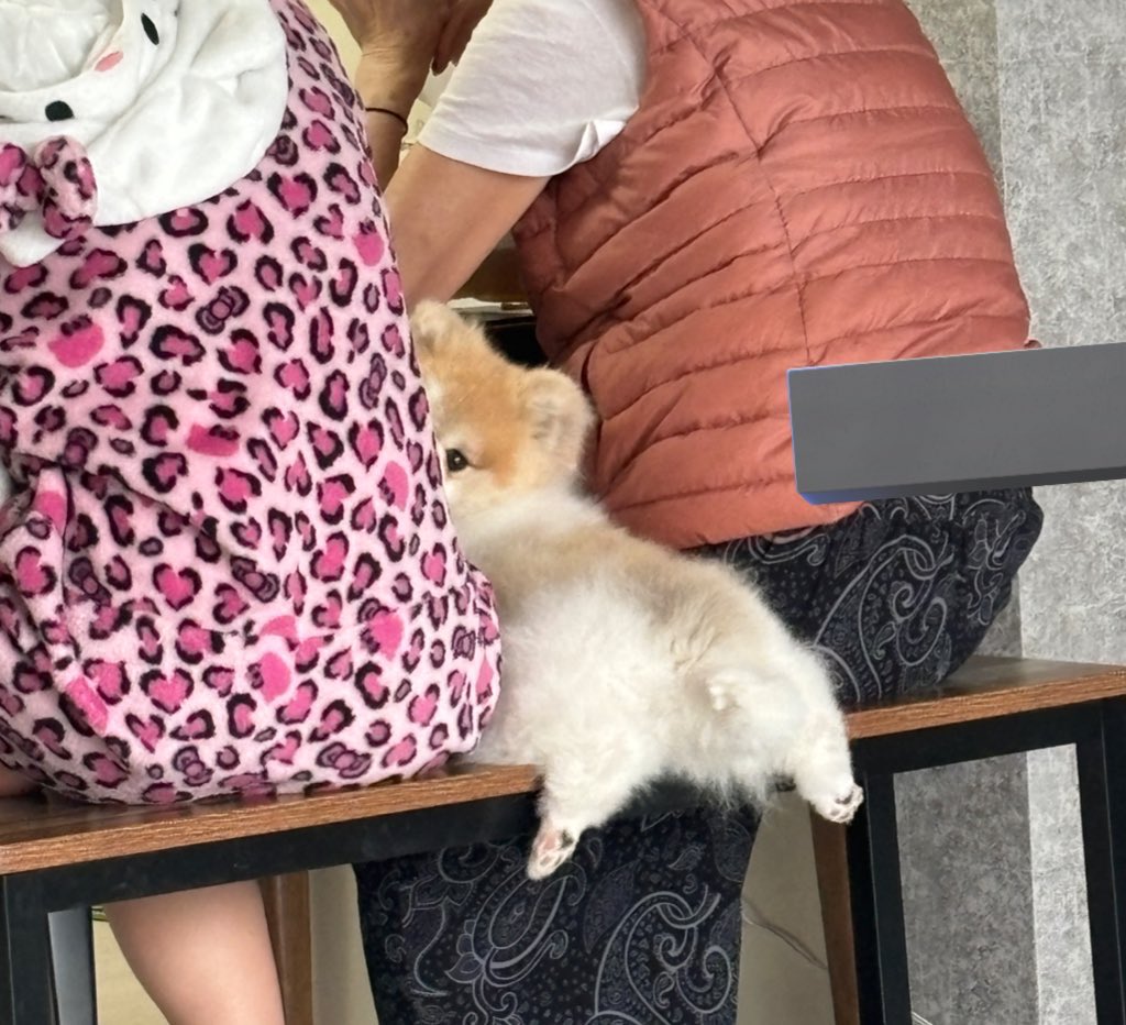 밥먹을때-맨날-이렇게-자연스럽게-끼어있음.-부르면-2번째사진처럼-쳐다봄-2-이미지