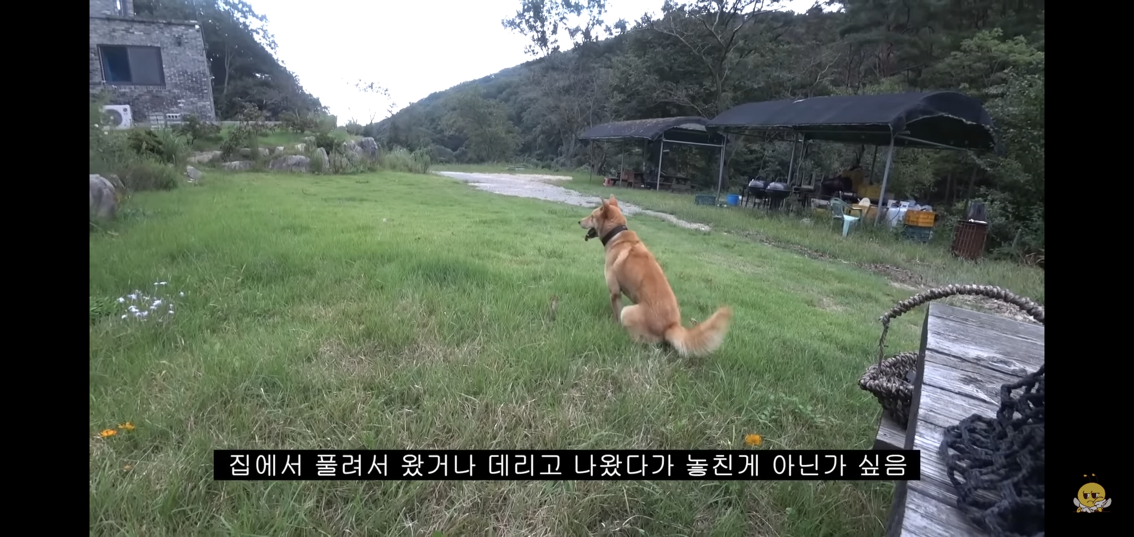 갑자기-유튜버-집에-들어온-떠돌이개가-알고보니-부잣집-도련님이었음.jpg-13-이미지