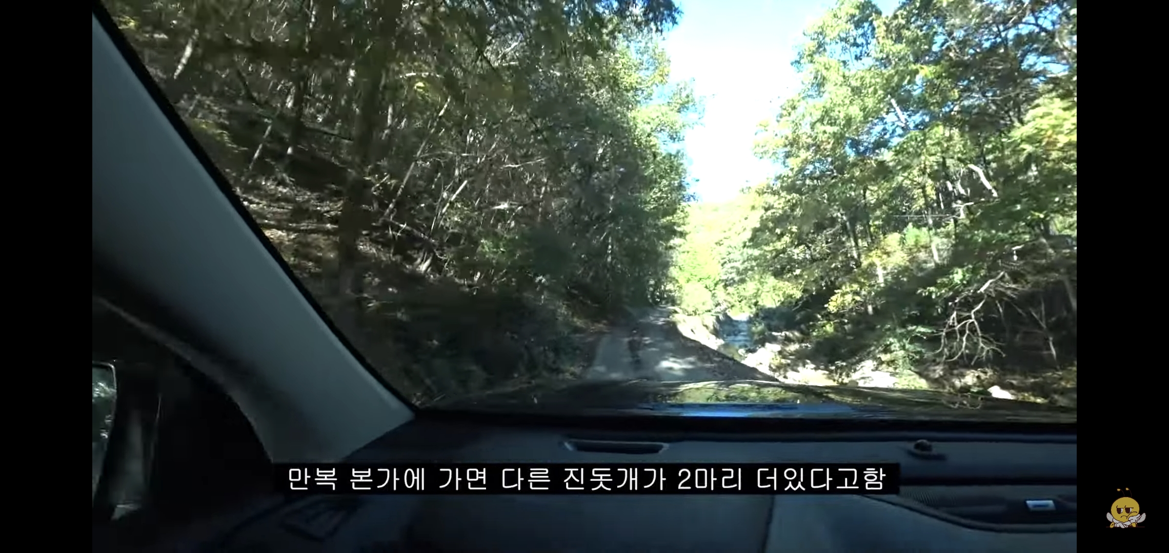 갑자기-유튜버-집에-들어온-떠돌이개가-알고보니-부잣집-도련님이었음.jpg-31-이미지