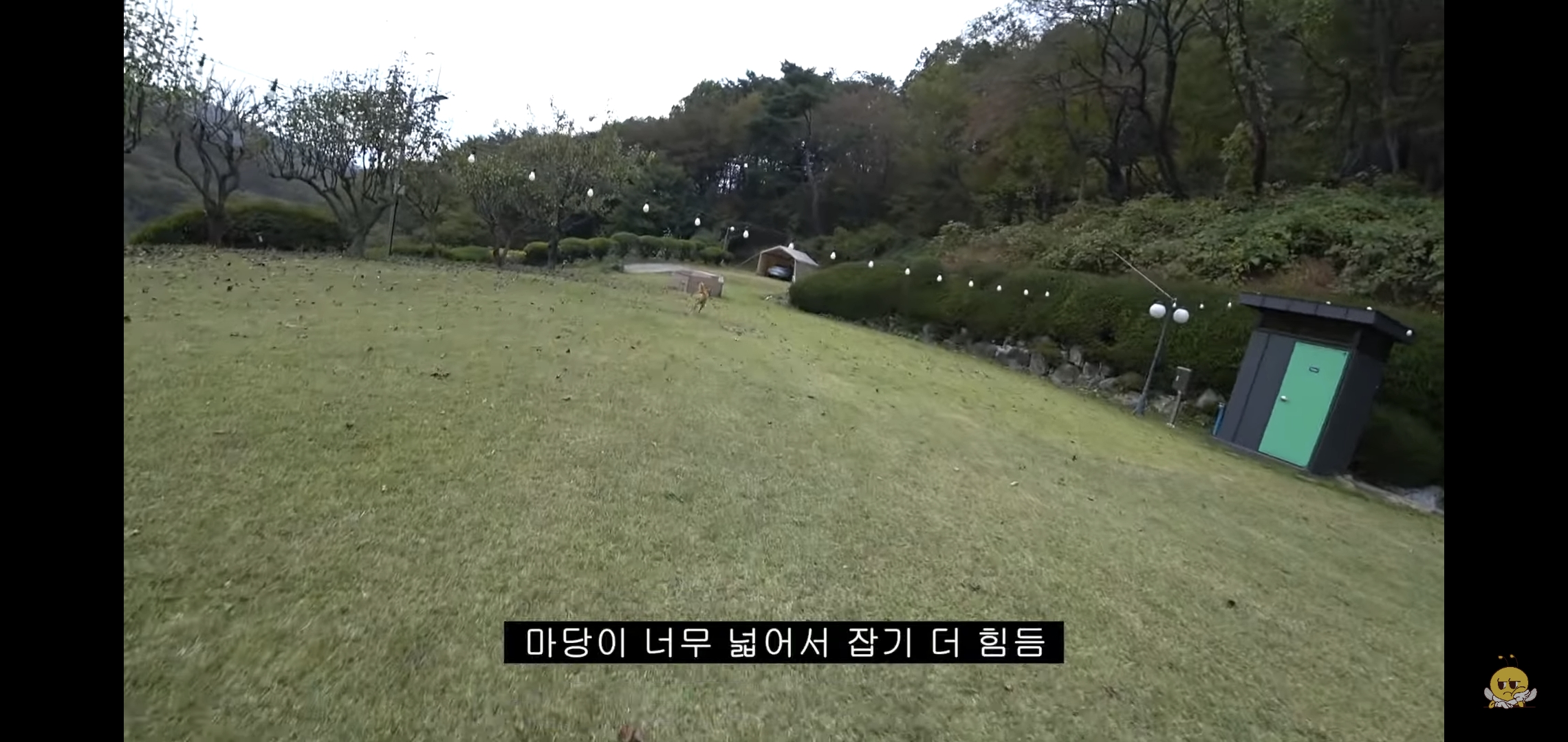 갑자기-유튜버-집에-들어온-떠돌이개가-알고보니-부잣집-도련님이었음.jpg-54-이미지