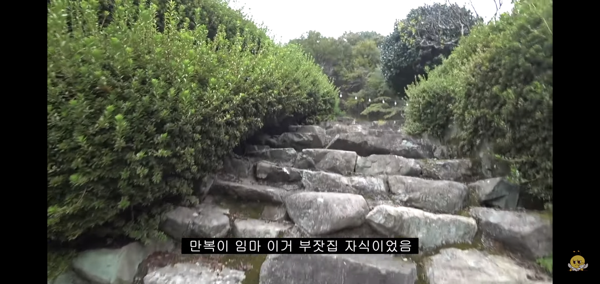 갑자기-유튜버-집에-들어온-떠돌이개가-알고보니-부잣집-도련님이었음.jpg-46-이미지