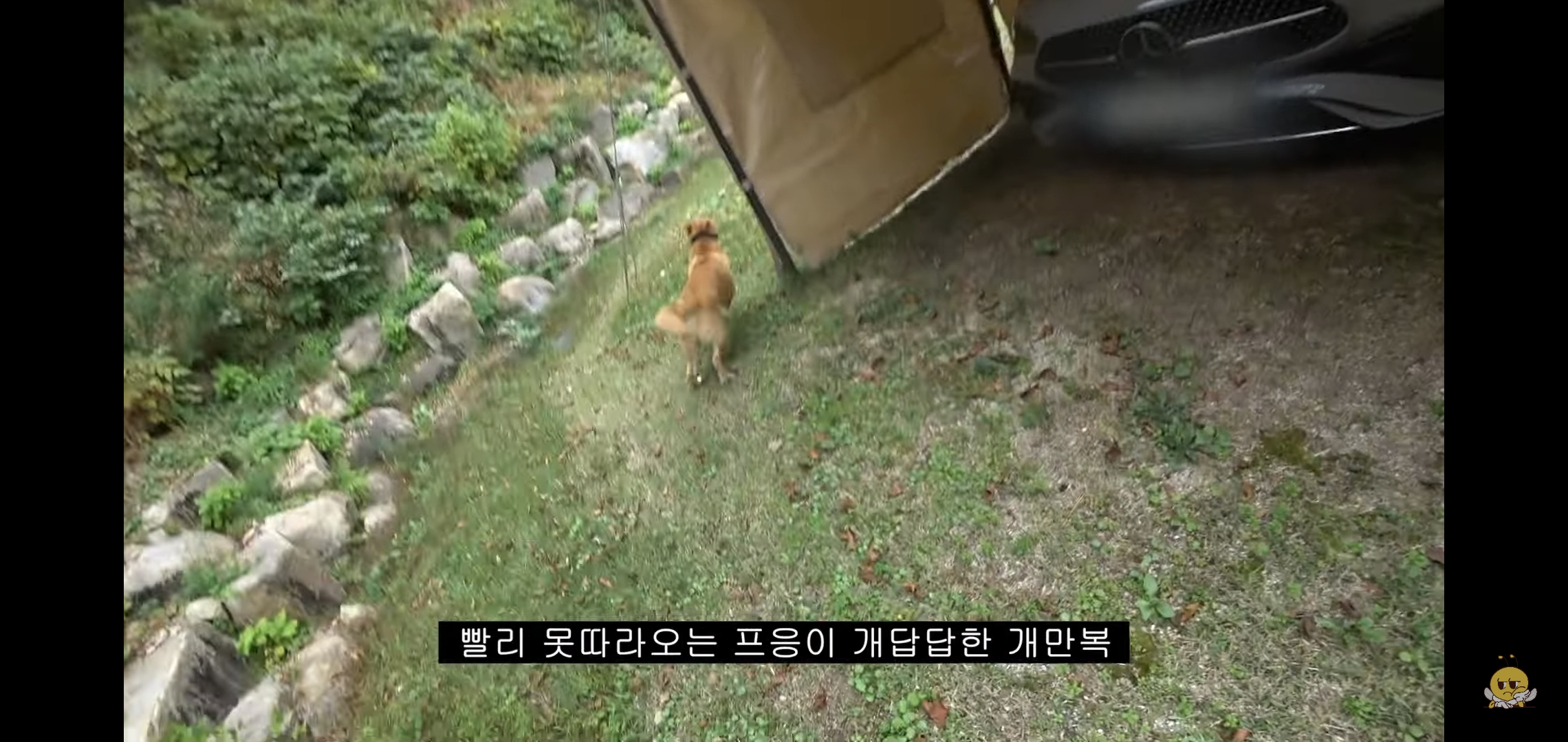 갑자기-유튜버-집에-들어온-떠돌이개가-알고보니-부잣집-도련님이었음.jpg-57-이미지