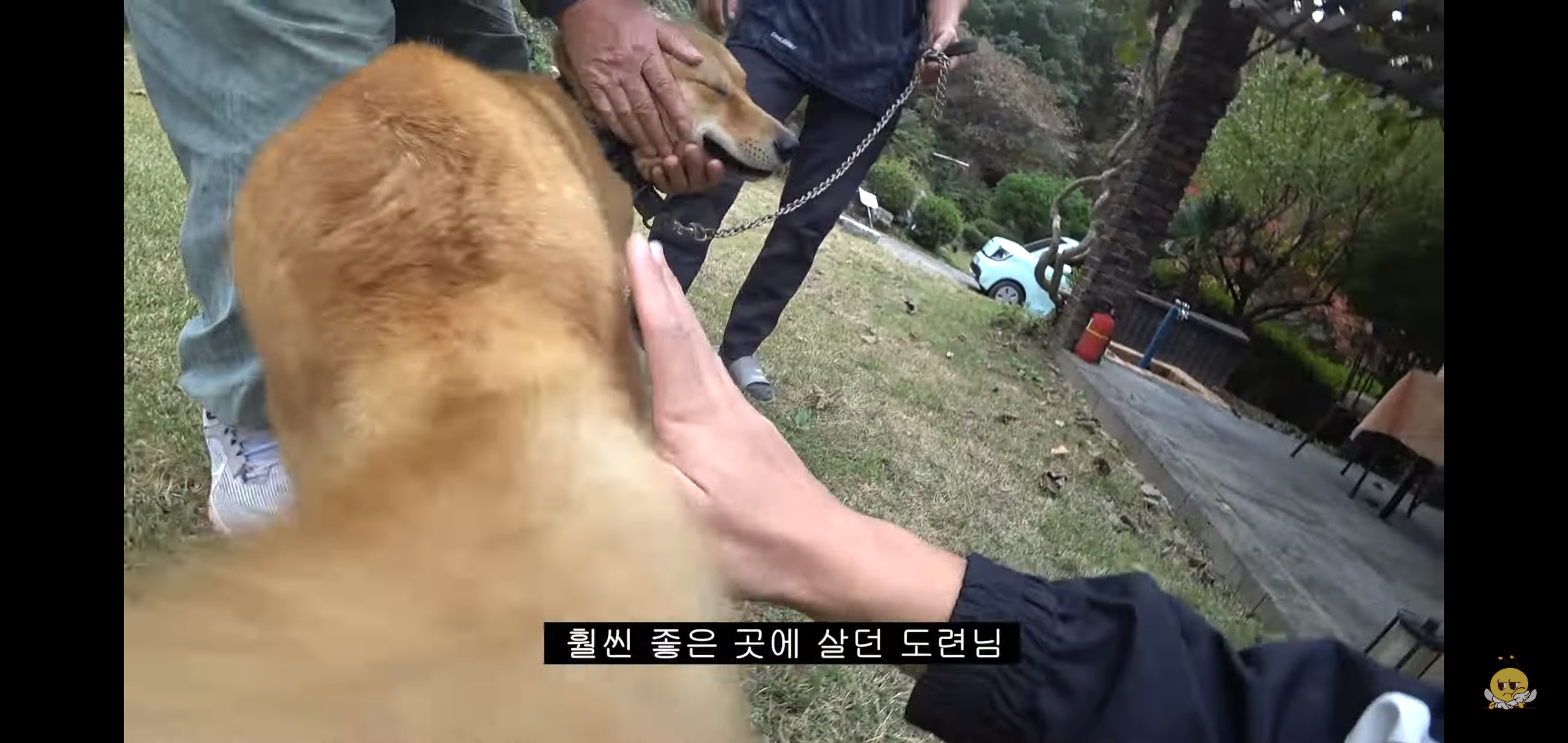 갑자기-유튜버-집에-들어온-떠돌이개가-알고보니-부잣집-도련님이었음.jpg-50-이미지