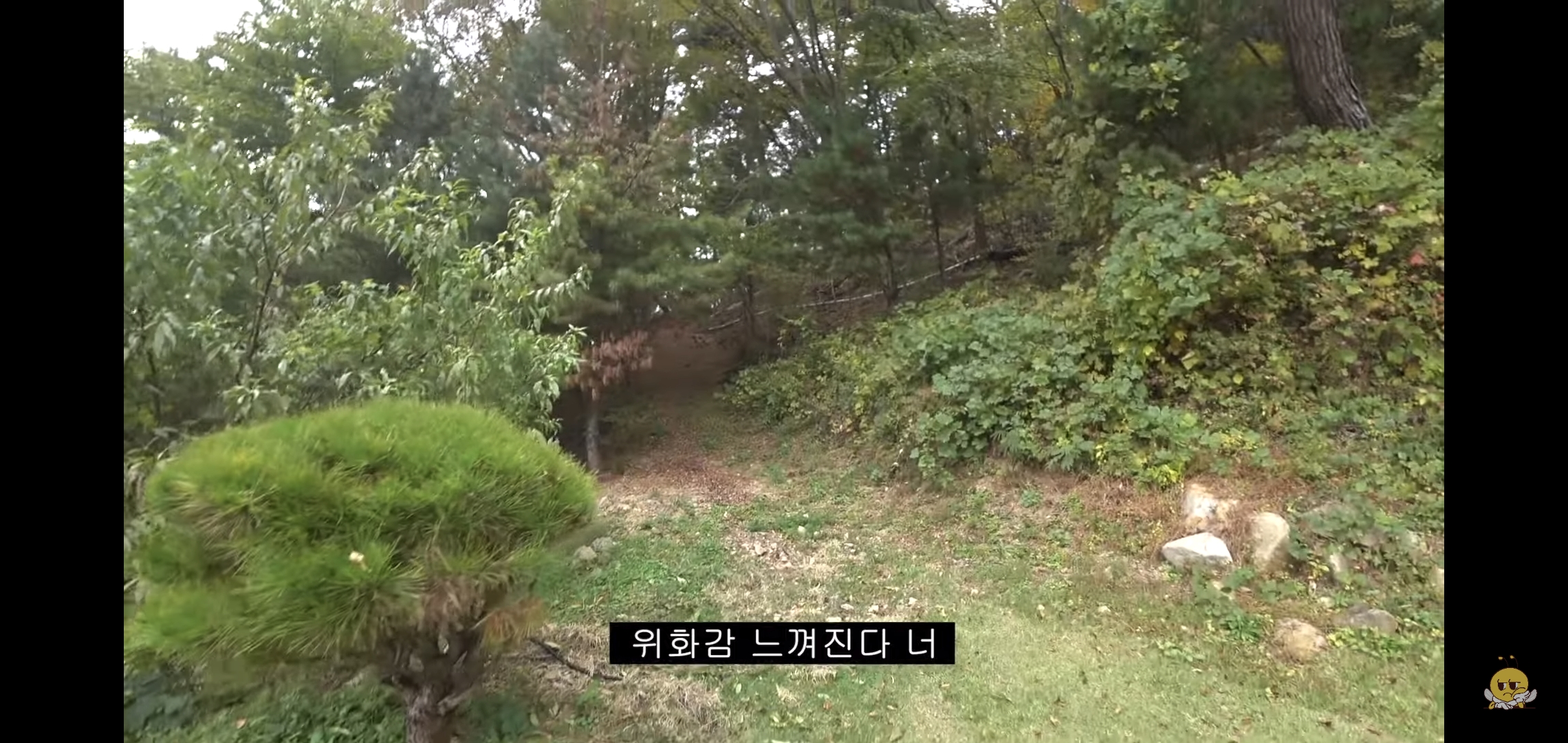 갑자기-유튜버-집에-들어온-떠돌이개가-알고보니-부잣집-도련님이었음.jpg-56-이미지