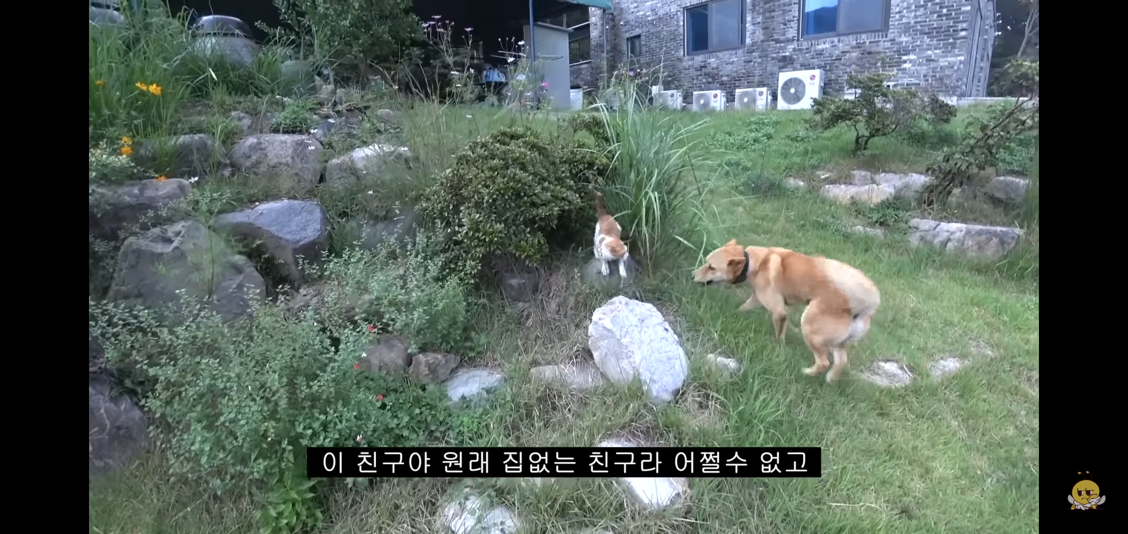 갑자기-유튜버-집에-들어온-떠돌이개가-알고보니-부잣집-도련님이었음.jpg-9-이미지