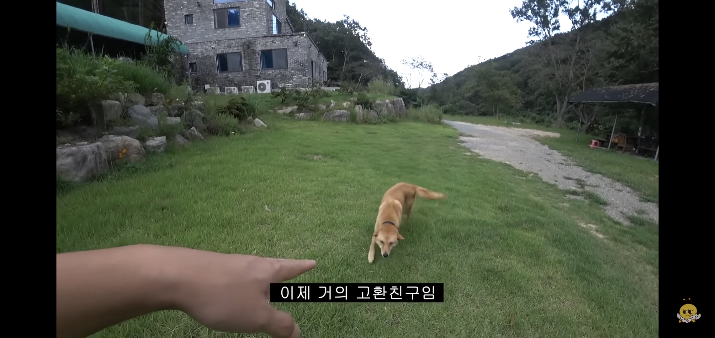 갑자기-유튜버-집에-들어온-떠돌이개가-알고보니-부잣집-도련님이었음.jpg-8-이미지
