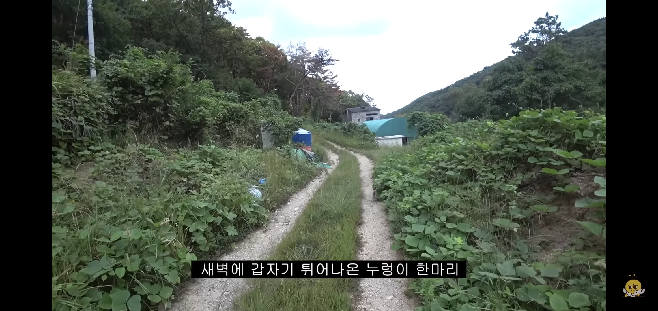 갑자기-유튜버-집에-들어온-떠돌이개가-알고보니-부잣집-도련님이었음.jpg-1-이미지