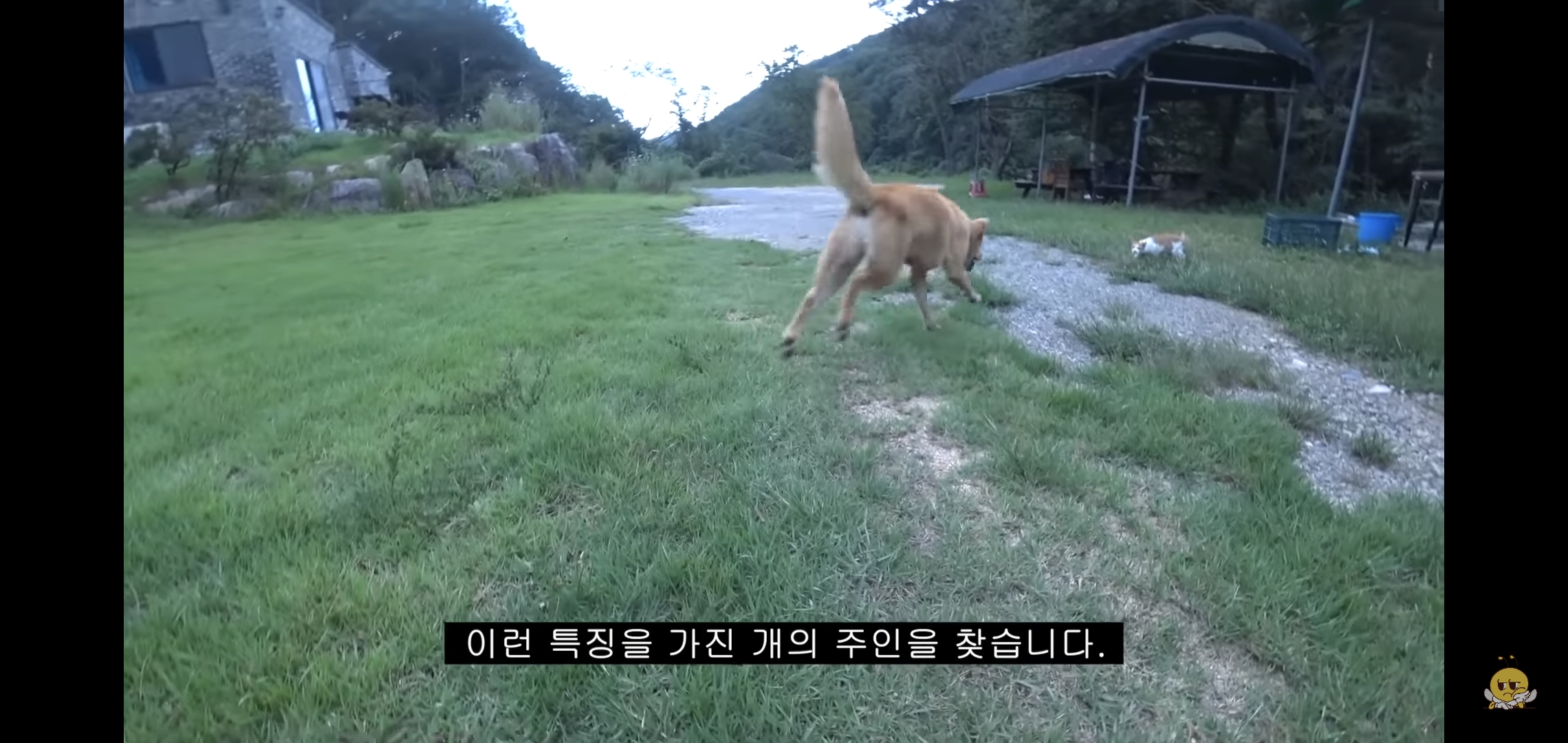 갑자기-유튜버-집에-들어온-떠돌이개가-알고보니-부잣집-도련님이었음.jpg-14-이미지