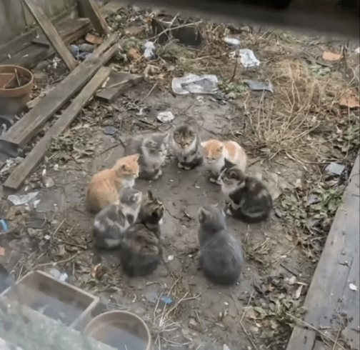 이거-뭐하는겁니까?-1-이미지