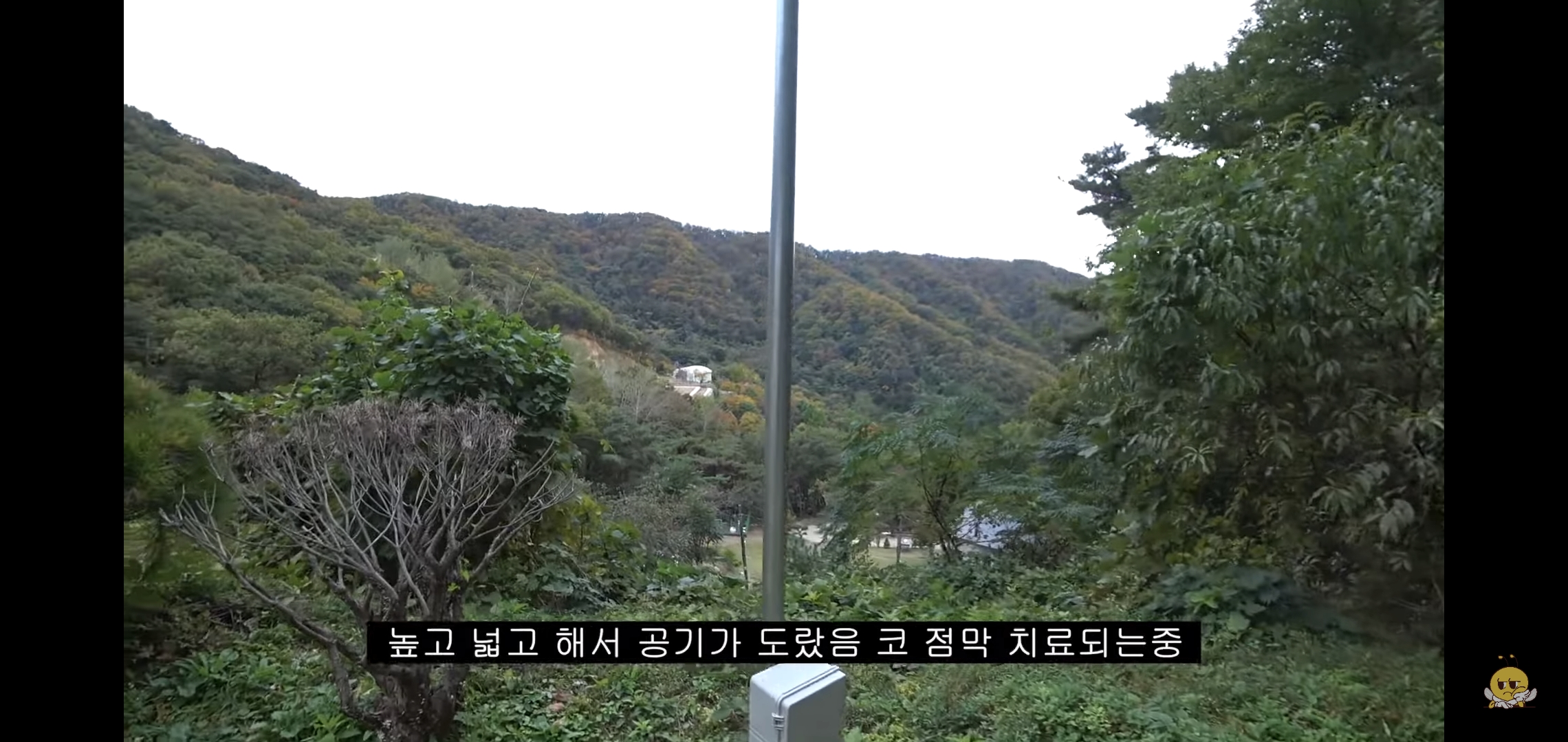 갑자기-유튜버-집에-들어온-떠돌이개가-알고보니-부잣집-도련님이었음.jpg-55-이미지