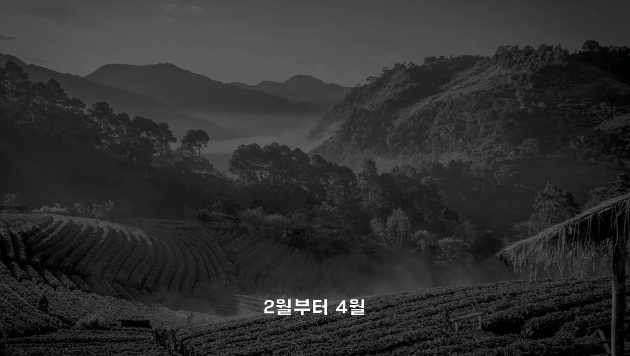 4년째-해외여행중인-유튜버가-뽑은-최악-여행지.JPG-26-이미지