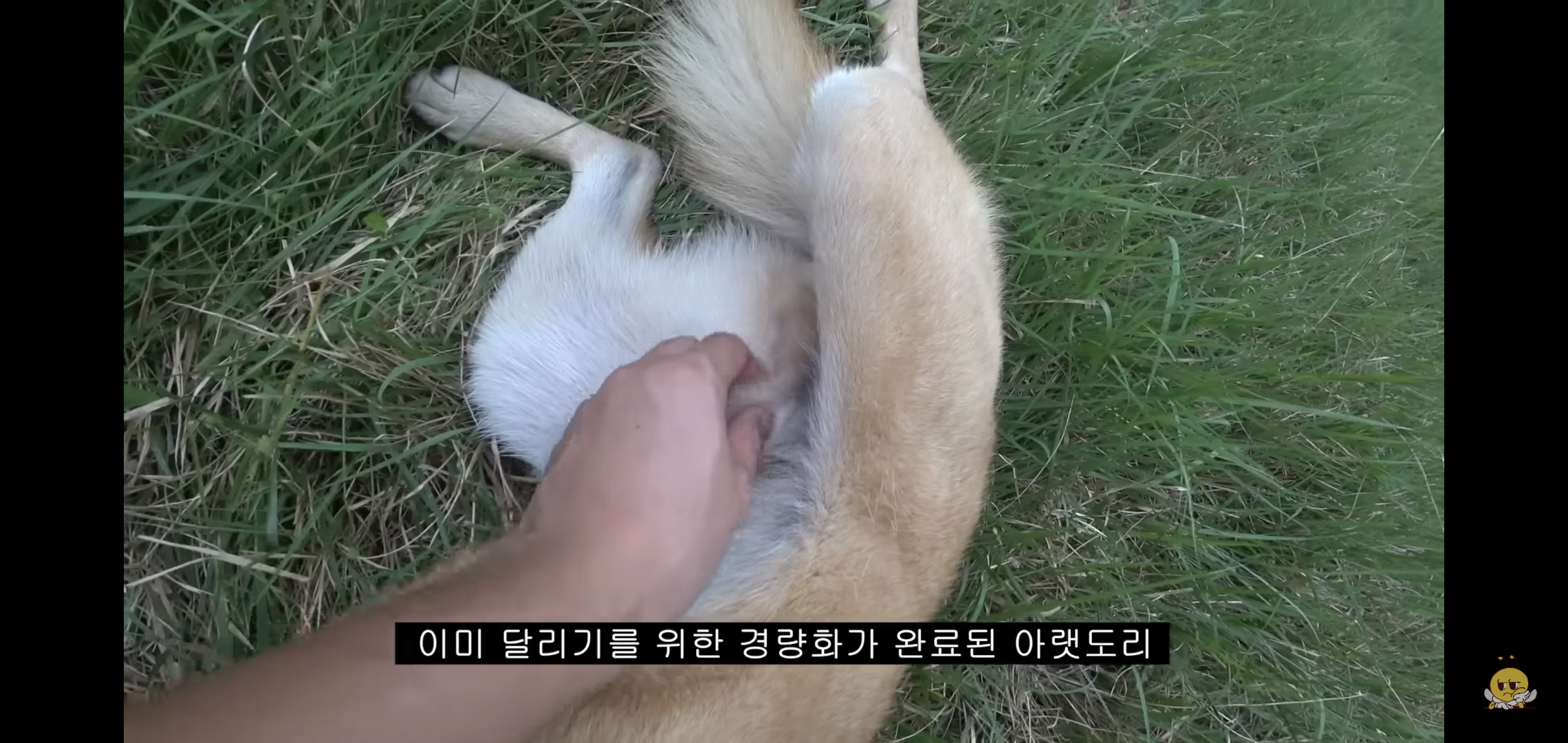 갑자기-유튜버-집에-들어온-떠돌이개가-알고보니-부잣집-도련님이었음.jpg-12-이미지