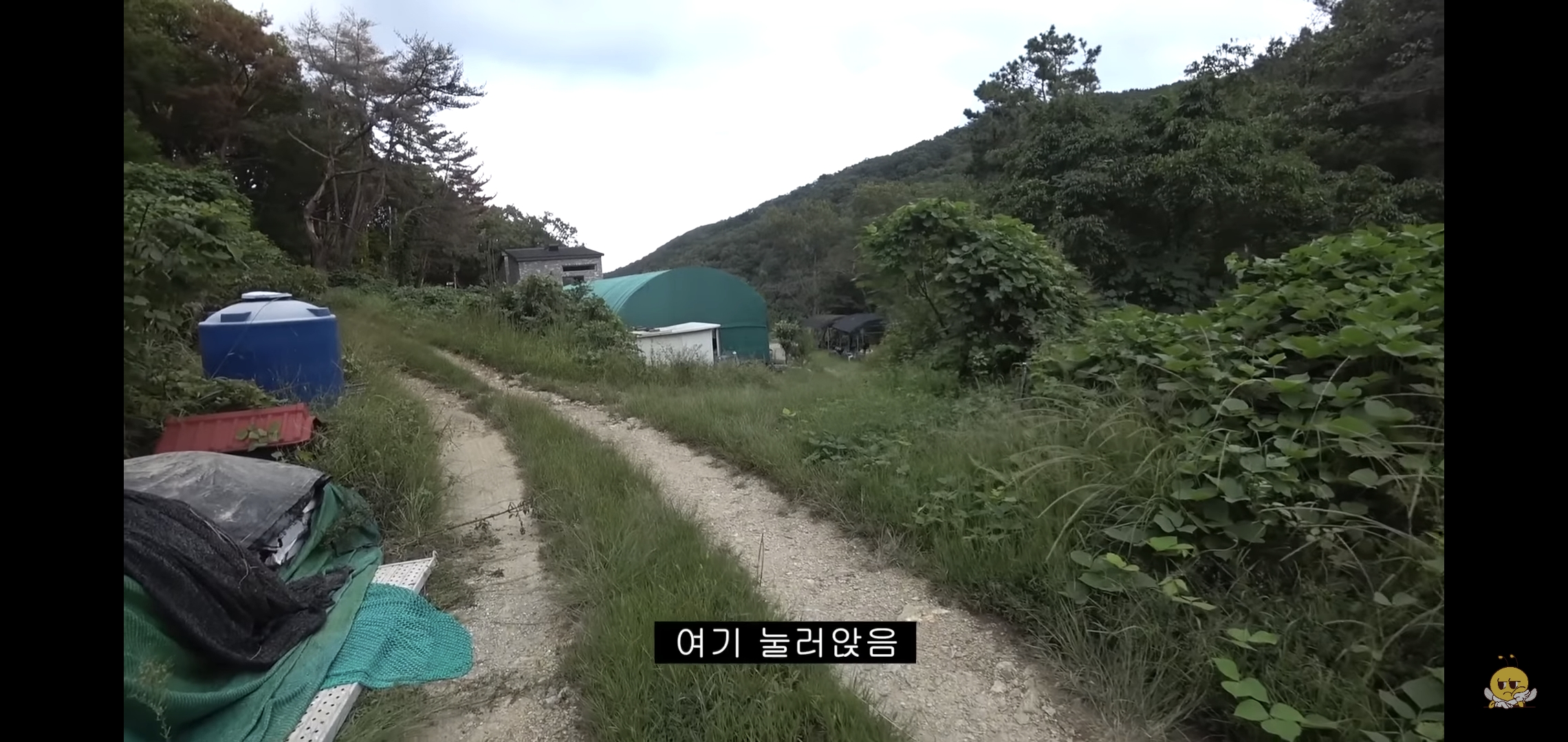 갑자기-유튜버-집에-들어온-떠돌이개가-알고보니-부잣집-도련님이었음.jpg-3-이미지