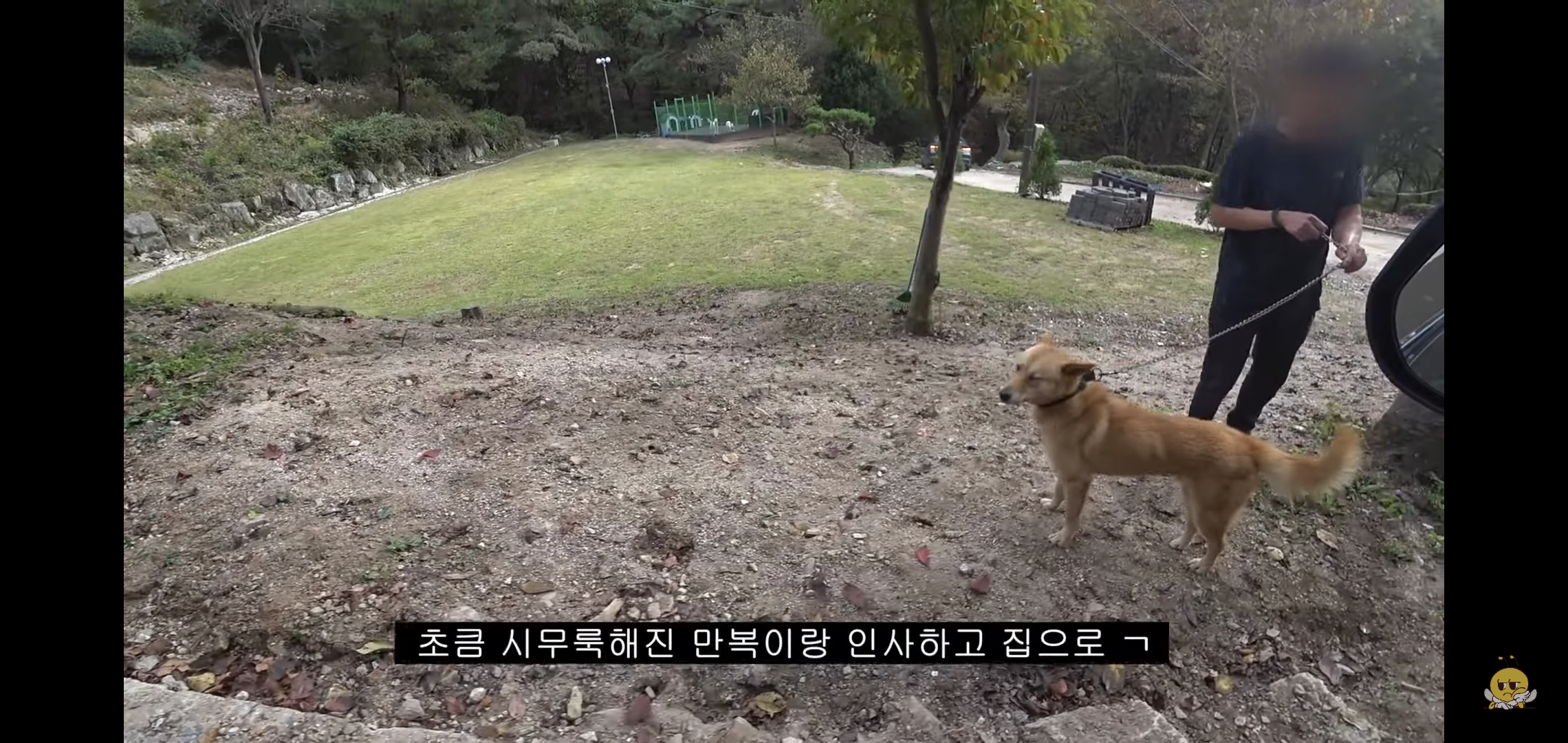 갑자기-유튜버-집에-들어온-떠돌이개가-알고보니-부잣집-도련님이었음.jpg-62-이미지