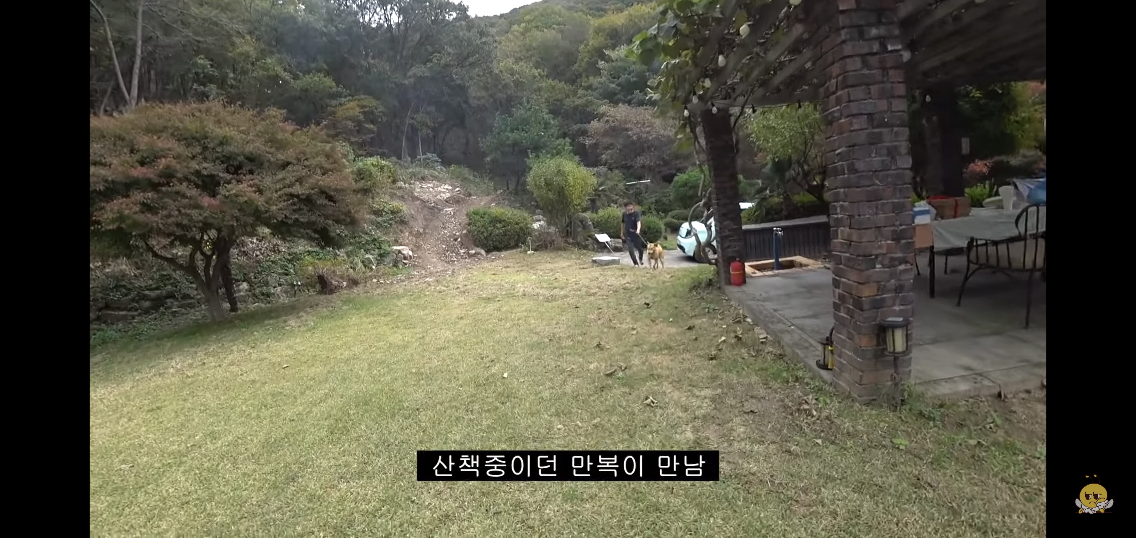 갑자기-유튜버-집에-들어온-떠돌이개가-알고보니-부잣집-도련님이었음.jpg-49-이미지