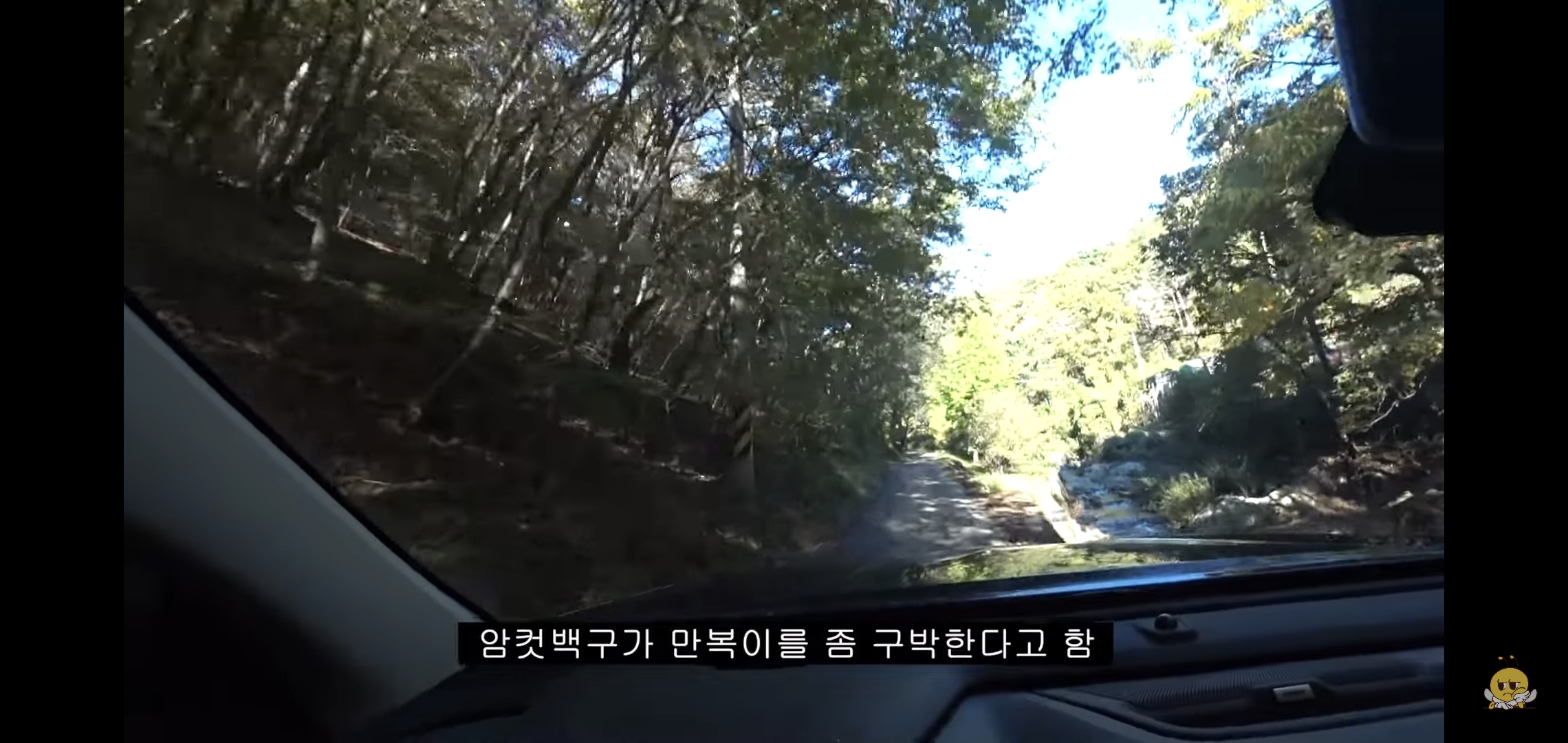 갑자기-유튜버-집에-들어온-떠돌이개가-알고보니-부잣집-도련님이었음.jpg-32-이미지