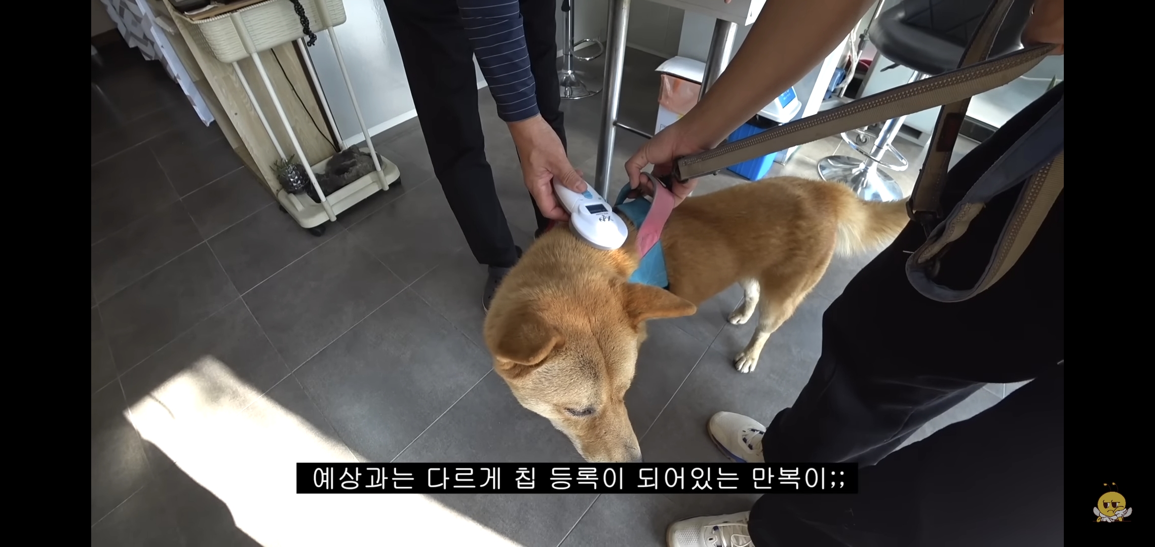 갑자기-유튜버-집에-들어온-떠돌이개가-알고보니-부잣집-도련님이었음.jpg-19-이미지