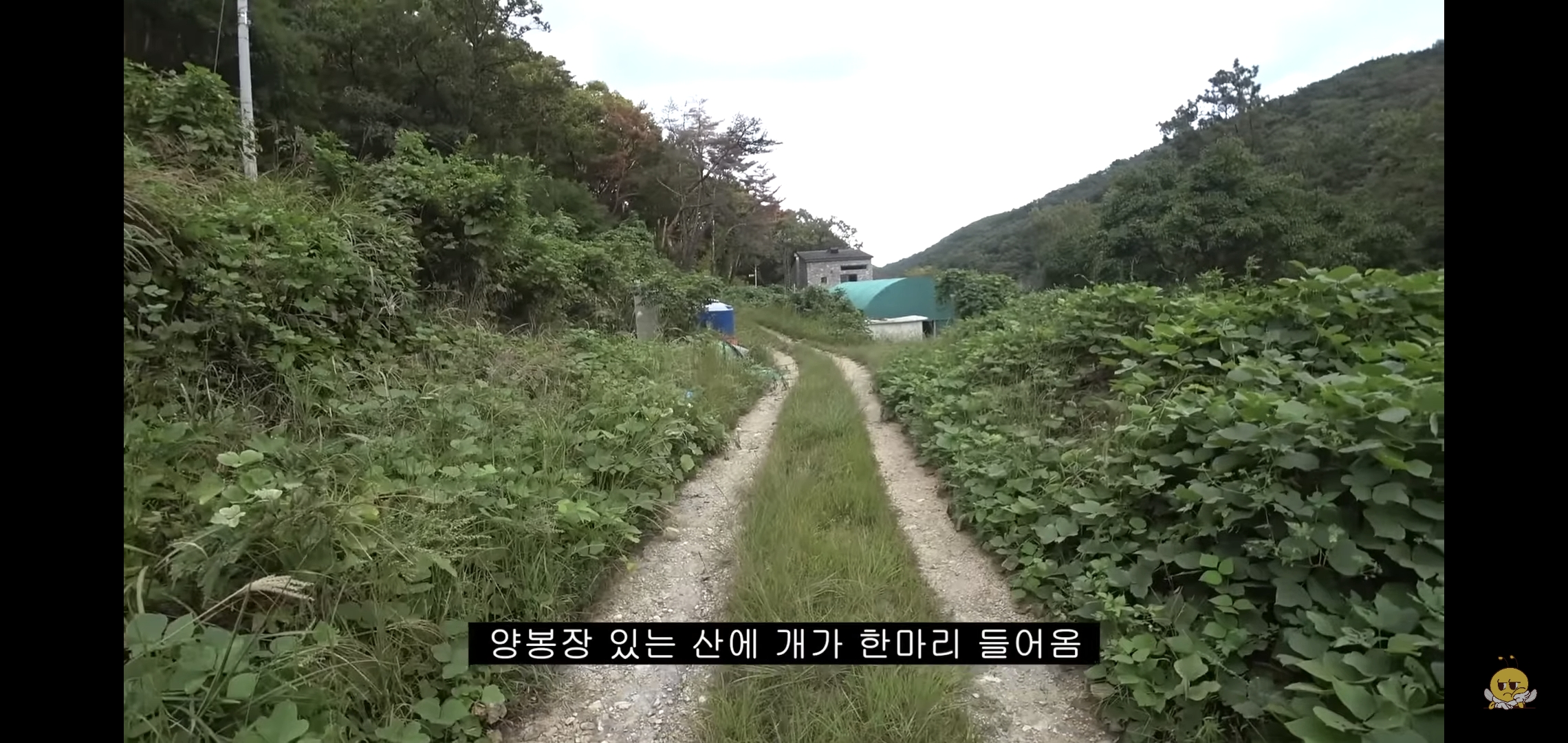 갑자기-유튜버-집에-들어온-떠돌이개가-알고보니-부잣집-도련님이었음.jpg-0-이미지
