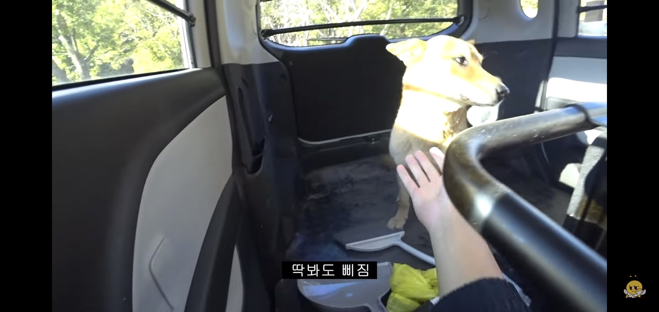 갑자기-유튜버-집에-들어온-떠돌이개가-알고보니-부잣집-도련님이었음.jpg-39-이미지