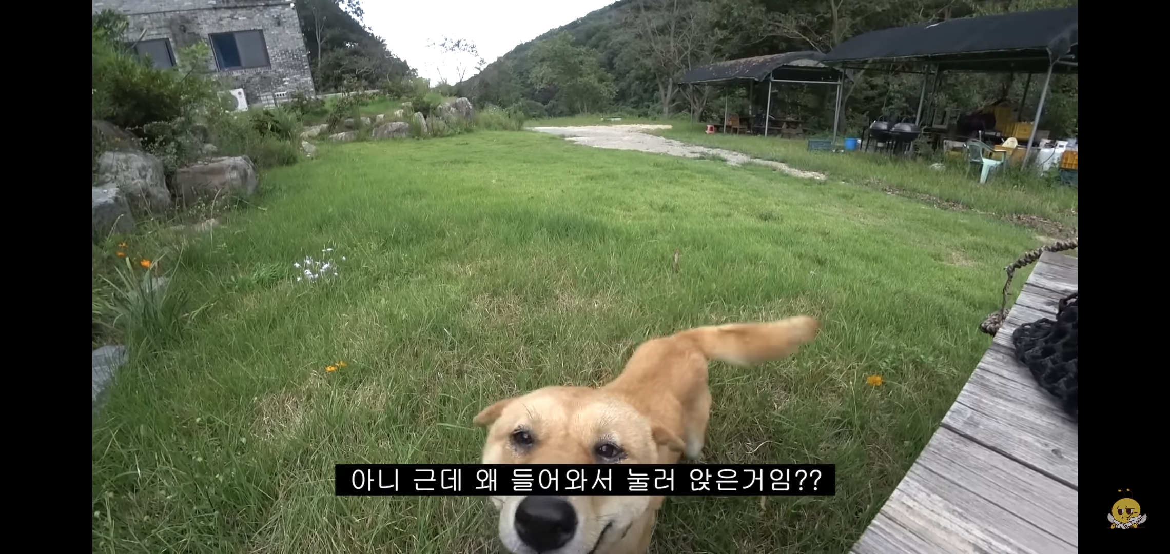 갑자기-유튜버-집에-들어온-떠돌이개가-알고보니-부잣집-도련님이었음.jpg-10-이미지