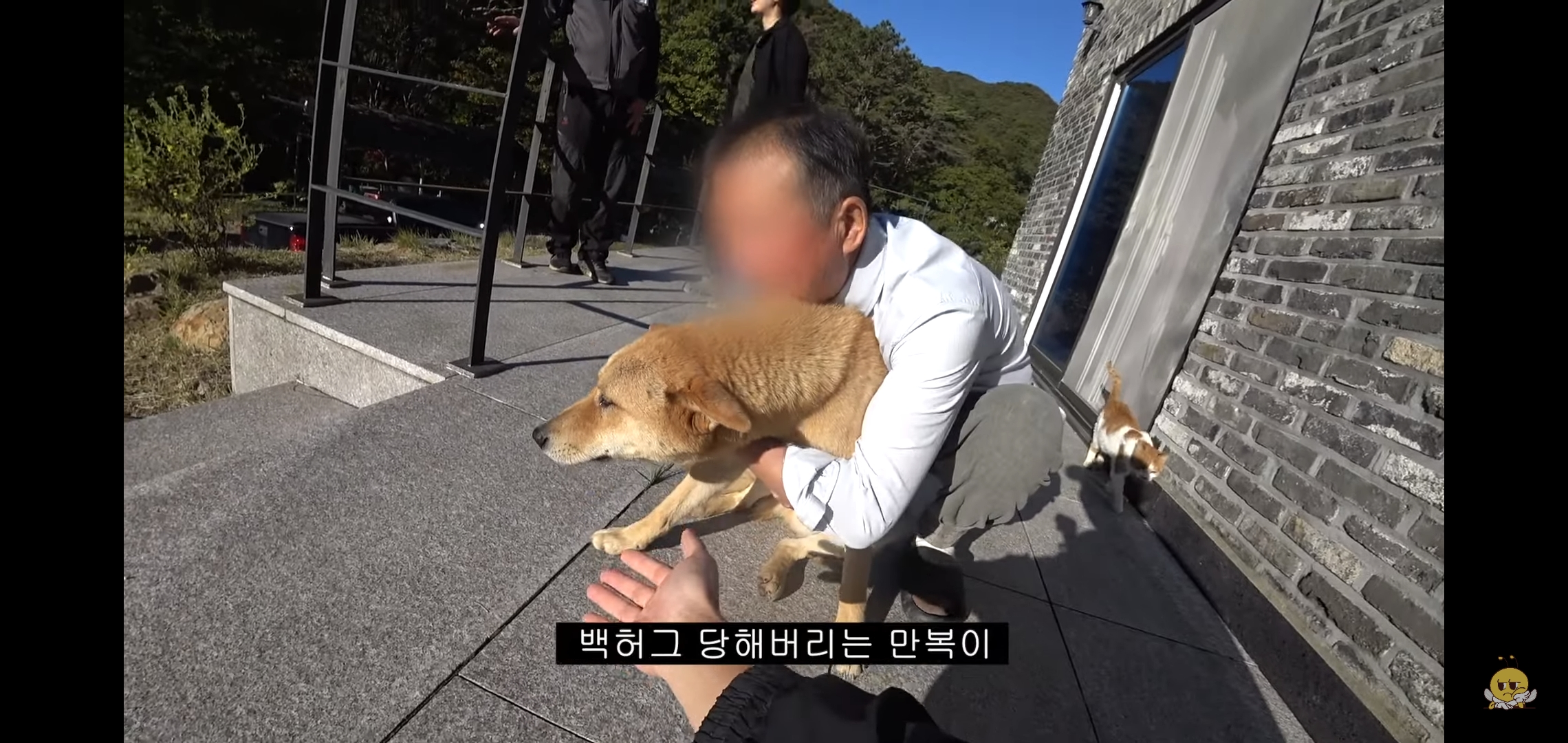 갑자기-유튜버-집에-들어온-떠돌이개가-알고보니-부잣집-도련님이었음.jpg-36-이미지