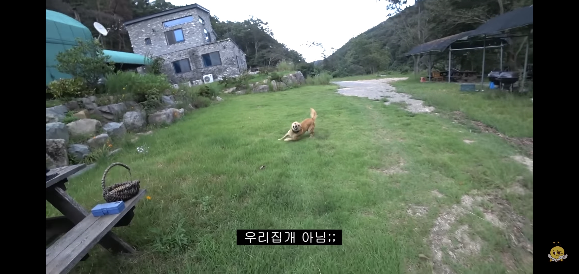 갑자기-유튜버-집에-들어온-떠돌이개가-알고보니-부잣집-도련님이었음.jpg-5-이미지