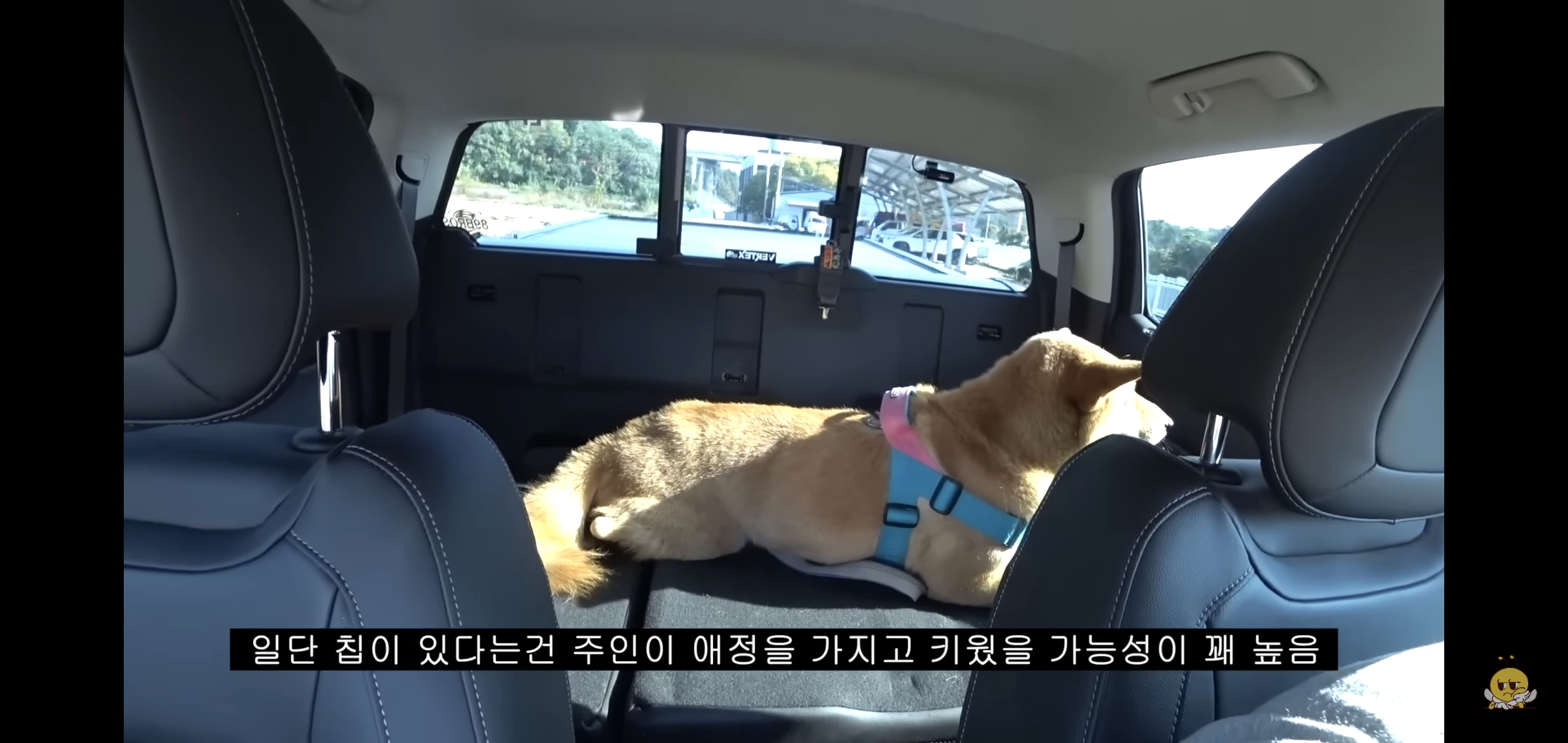 갑자기-유튜버-집에-들어온-떠돌이개가-알고보니-부잣집-도련님이었음.jpg-23-이미지