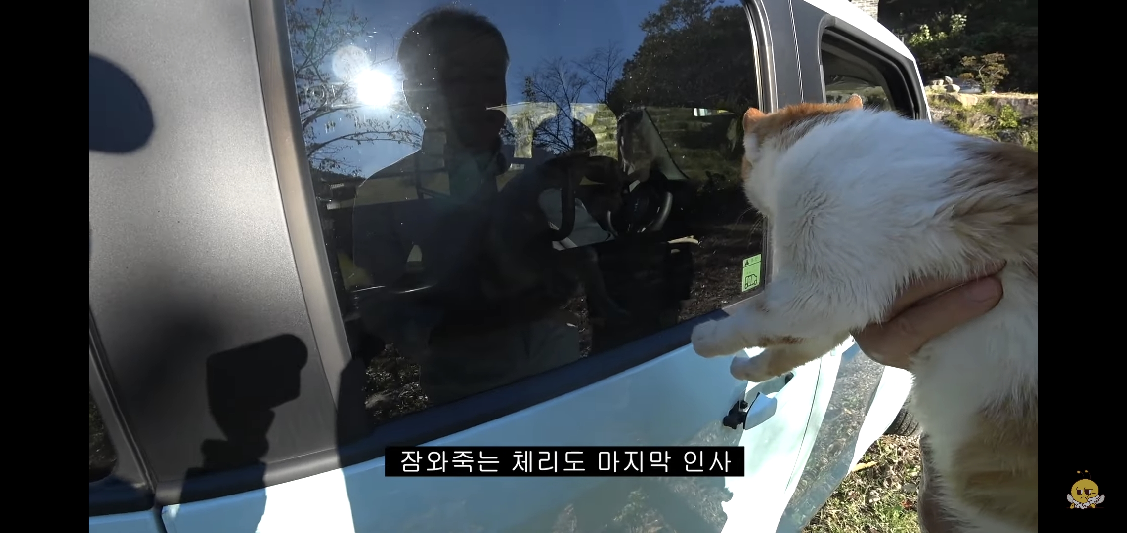 갑자기-유튜버-집에-들어온-떠돌이개가-알고보니-부잣집-도련님이었음.jpg-40-이미지