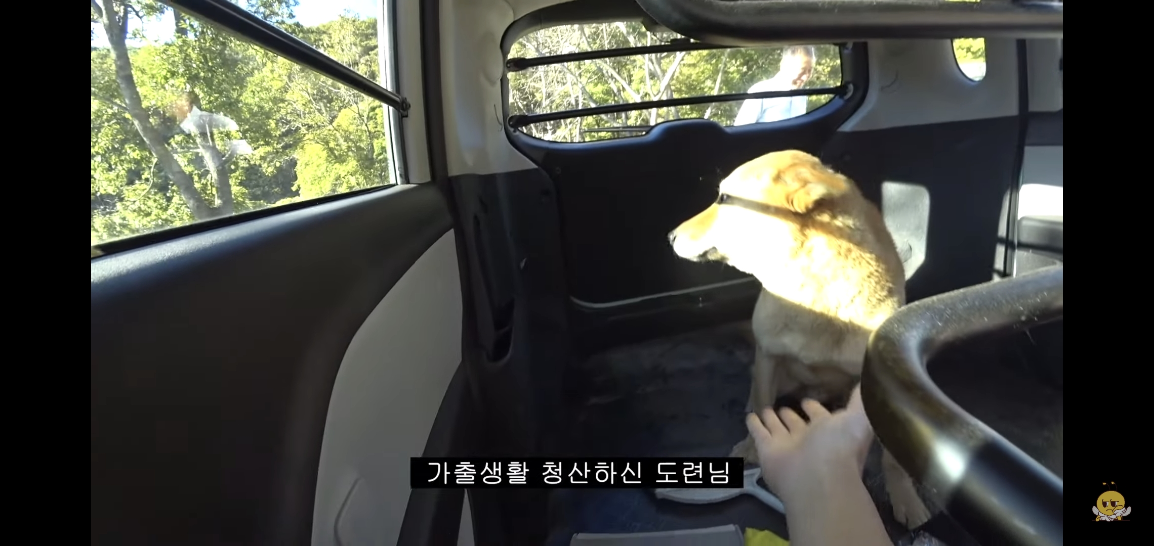 갑자기-유튜버-집에-들어온-떠돌이개가-알고보니-부잣집-도련님이었음.jpg-38-이미지