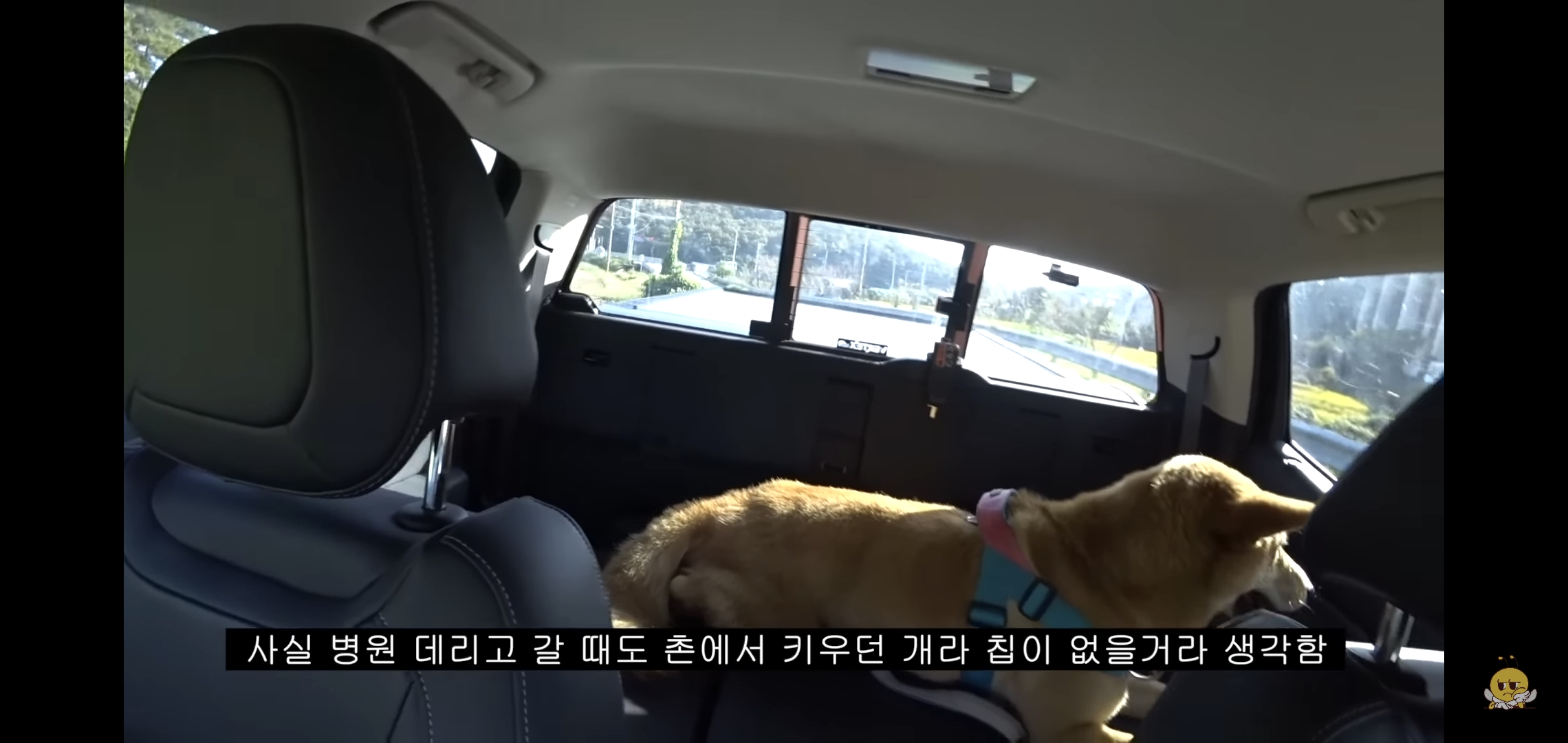 갑자기-유튜버-집에-들어온-떠돌이개가-알고보니-부잣집-도련님이었음.jpg-22-이미지