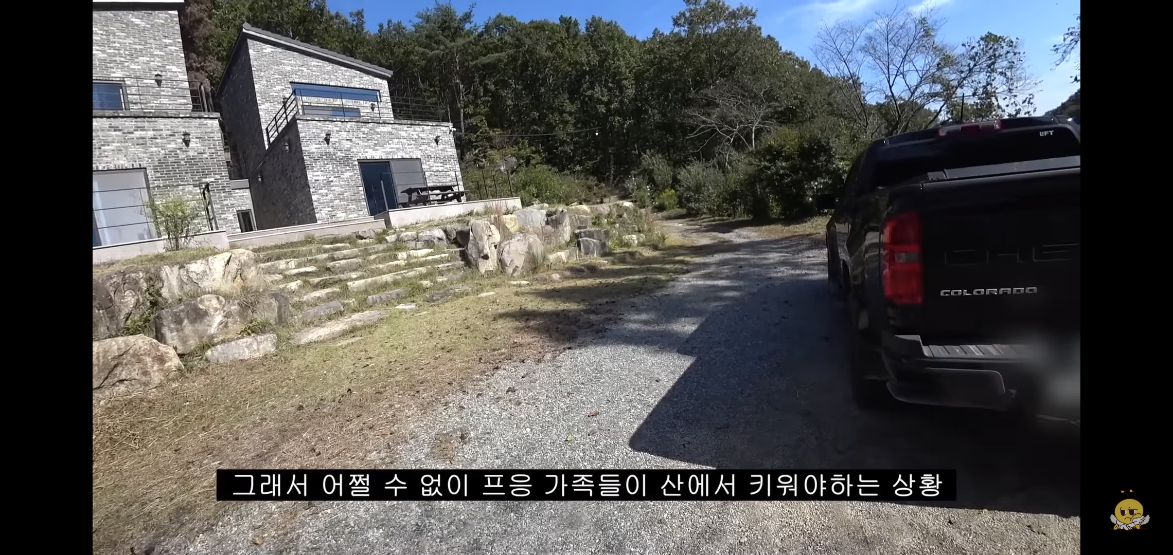 갑자기-유튜버-집에-들어온-떠돌이개가-알고보니-부잣집-도련님이었음.jpg-18-이미지