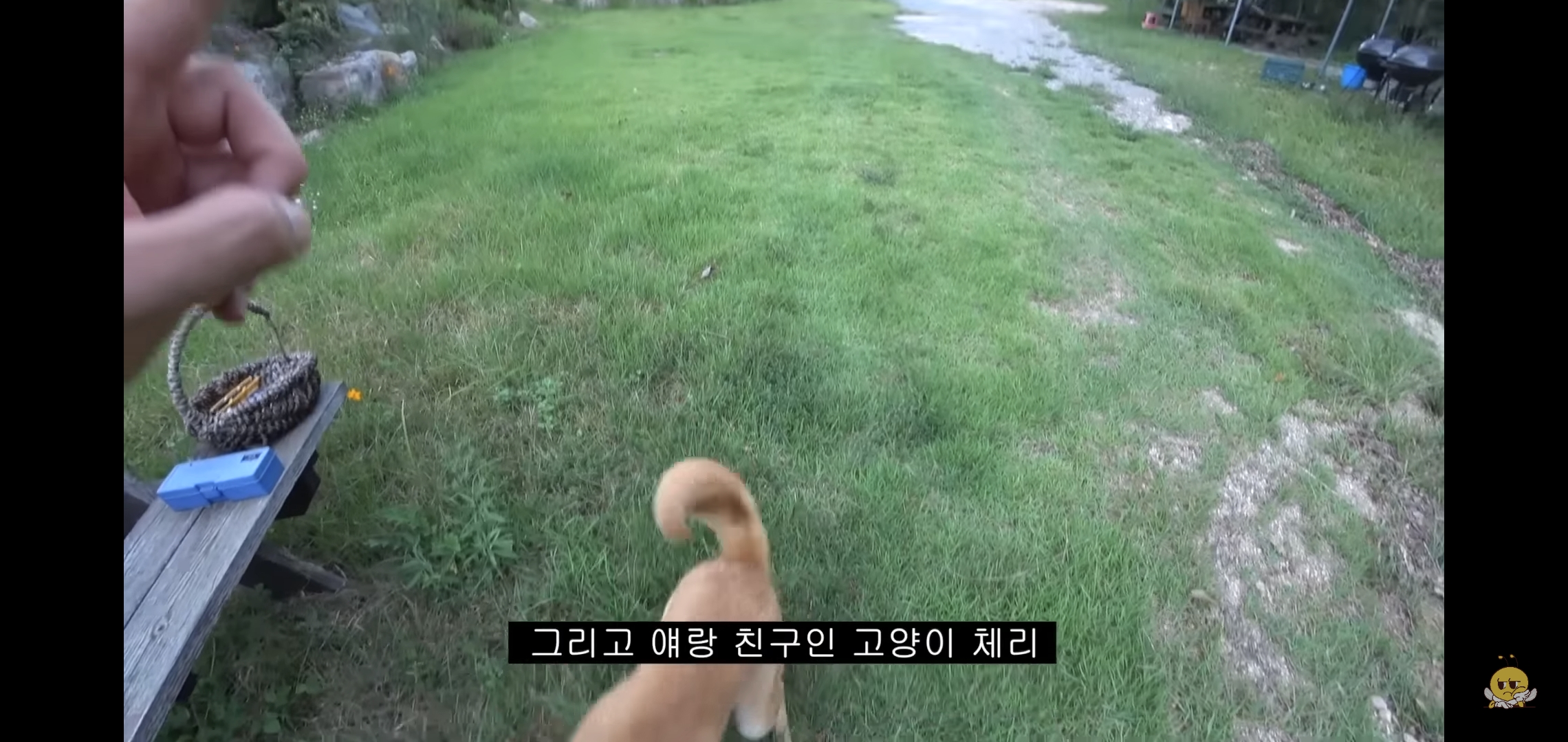 갑자기-유튜버-집에-들어온-떠돌이개가-알고보니-부잣집-도련님이었음.jpg-7-이미지