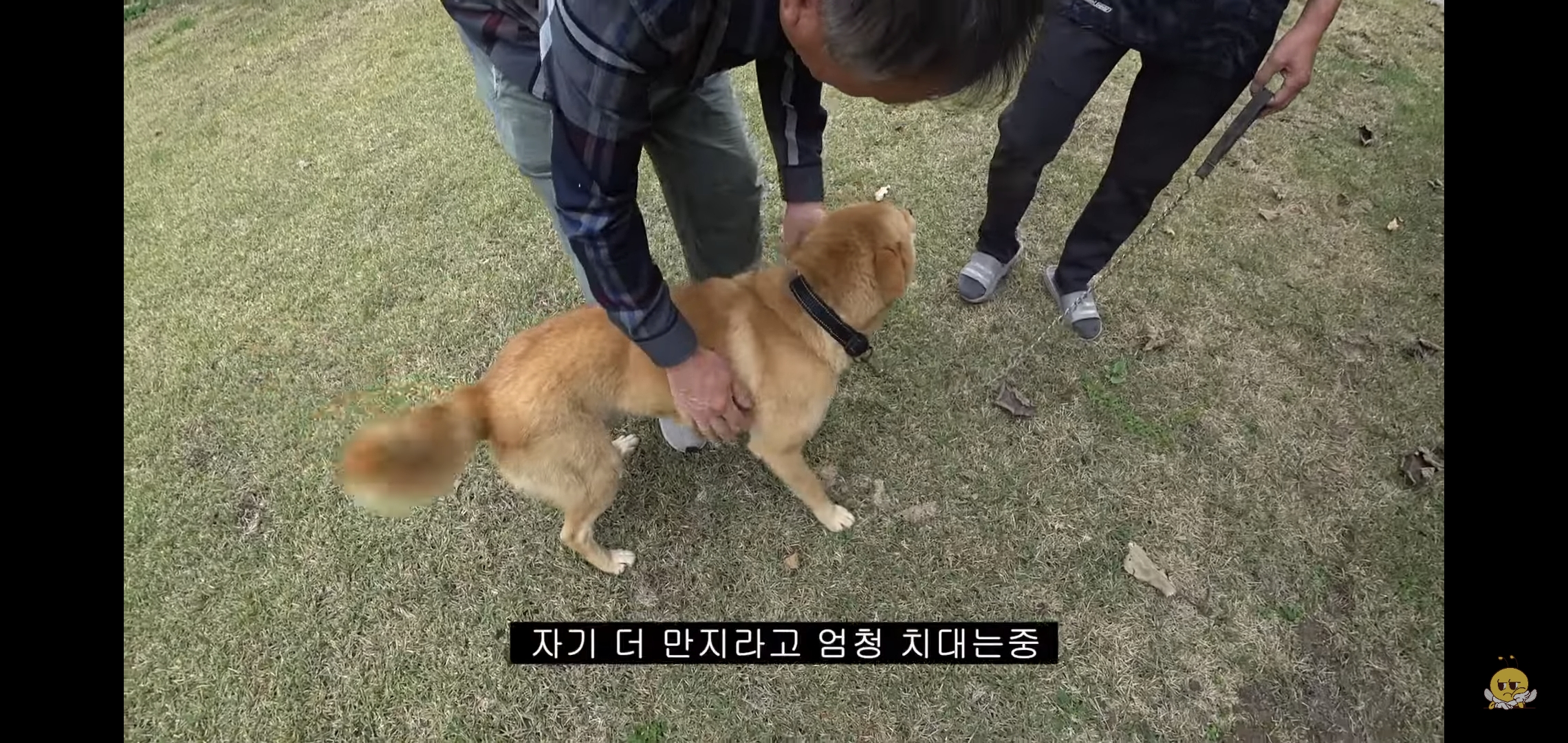 갑자기-유튜버-집에-들어온-떠돌이개가-알고보니-부잣집-도련님이었음.jpg-51-이미지
