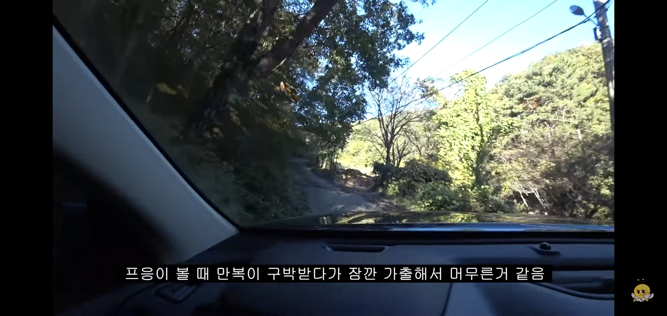갑자기-유튜버-집에-들어온-떠돌이개가-알고보니-부잣집-도련님이었음.jpg-33-이미지
