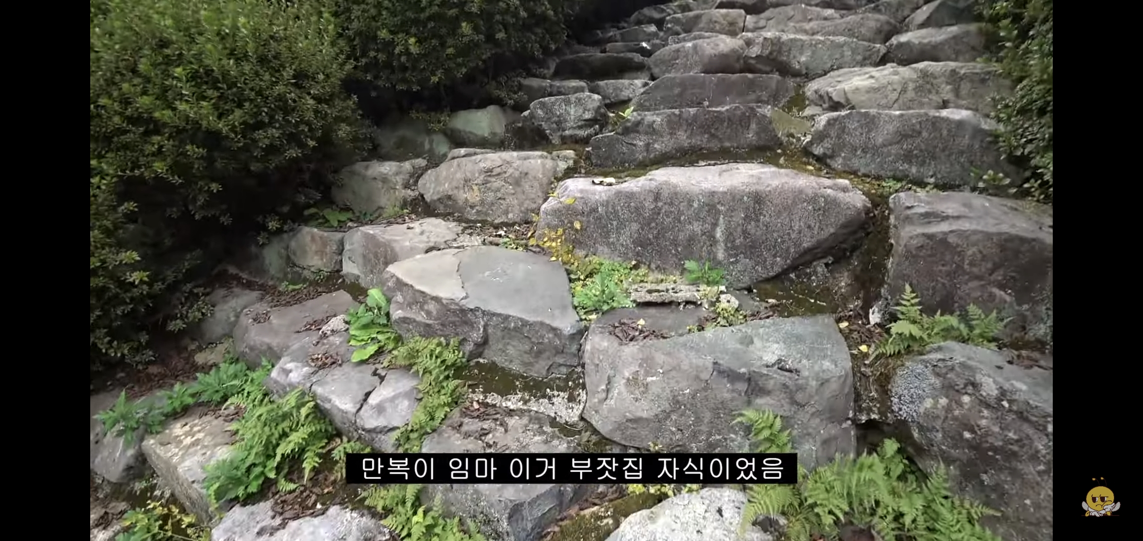 갑자기-유튜버-집에-들어온-떠돌이개가-알고보니-부잣집-도련님이었음.jpg-45-이미지