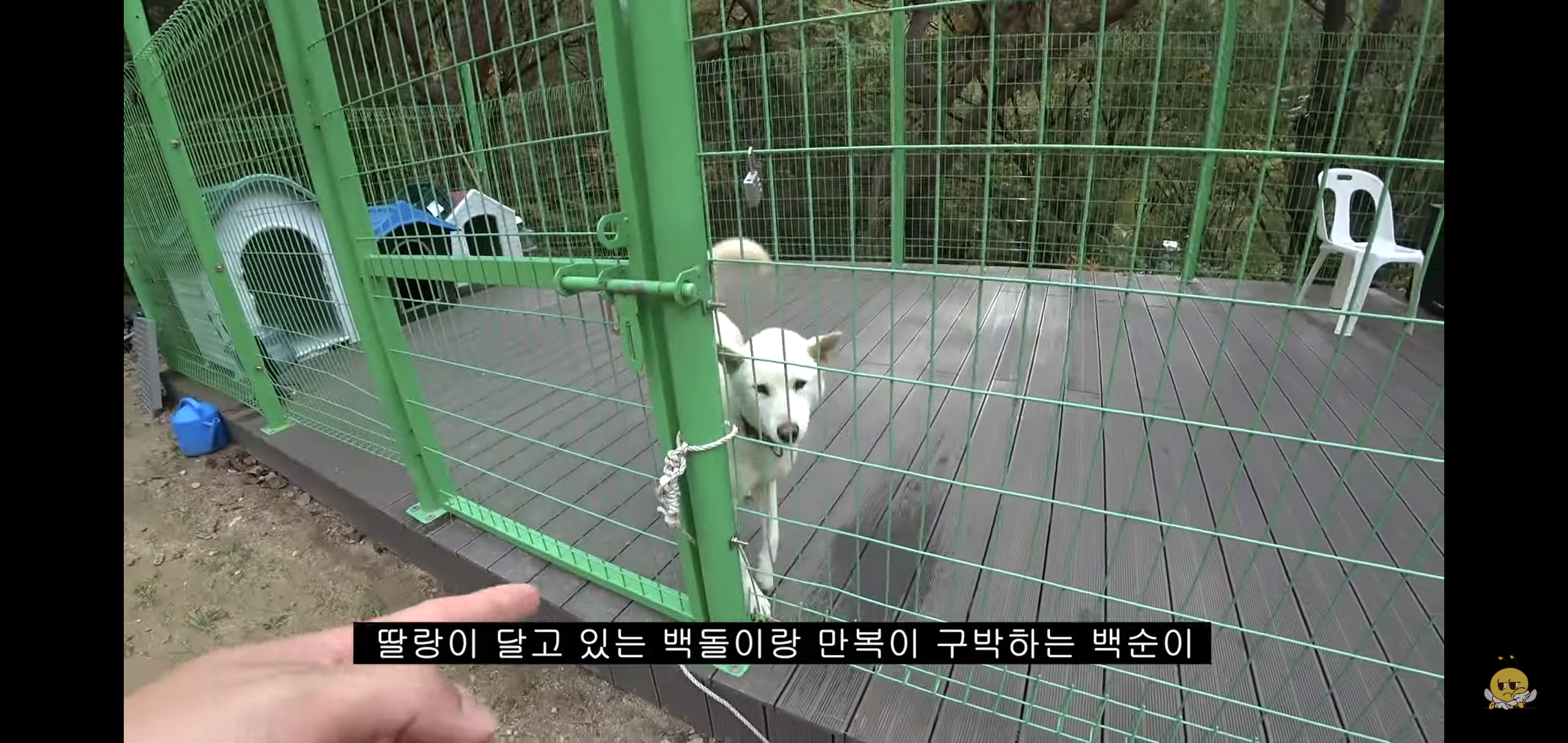 갑자기-유튜버-집에-들어온-떠돌이개가-알고보니-부잣집-도련님이었음.jpg-58-이미지