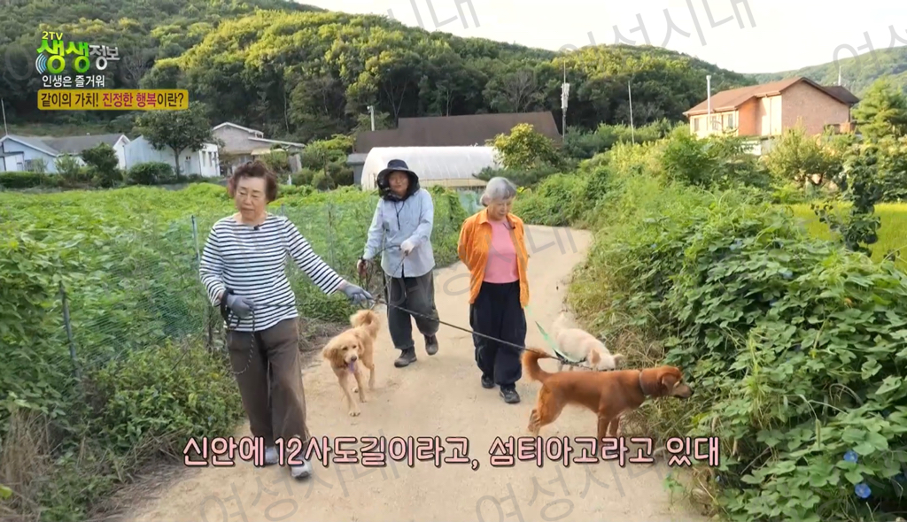 비혼여성의-로망-그자체인-생생정보통-세-할머니-62-이미지