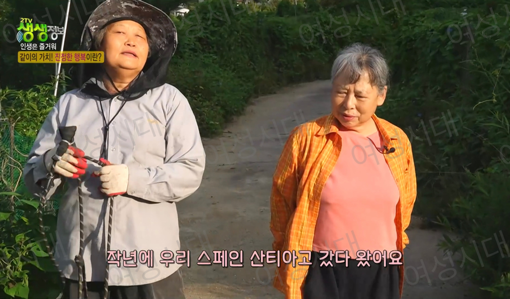 비혼여성의-로망-그자체인-생생정보통-세-할머니-64-이미지