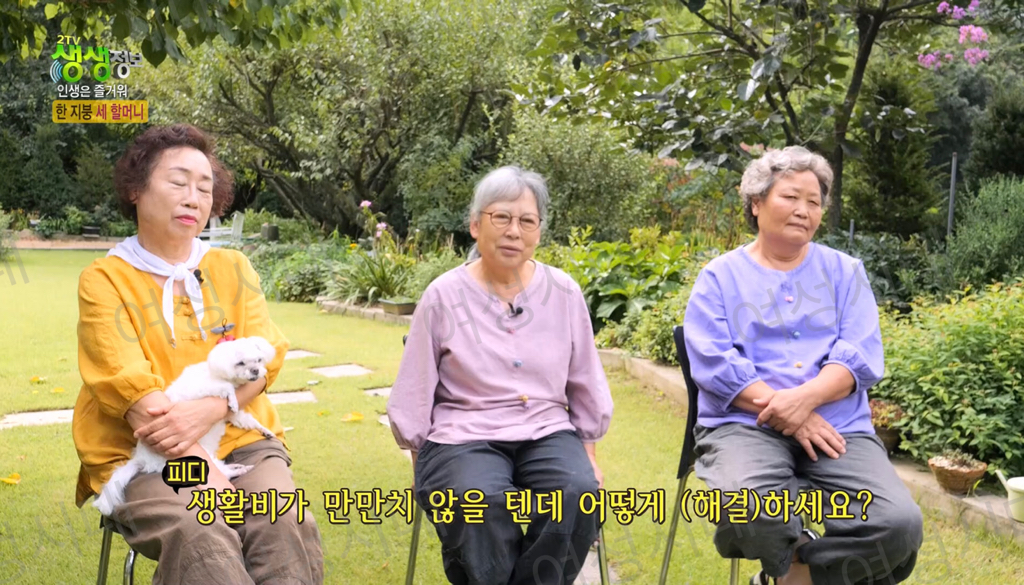 비혼여성의-로망-그자체인-생생정보통-세-할머니-16-이미지